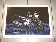 Fotoposter 75cm x 50cm (ohne Bilderrahmen)
