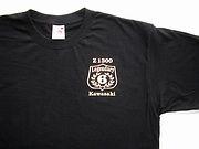 Z1300 Teamshirt